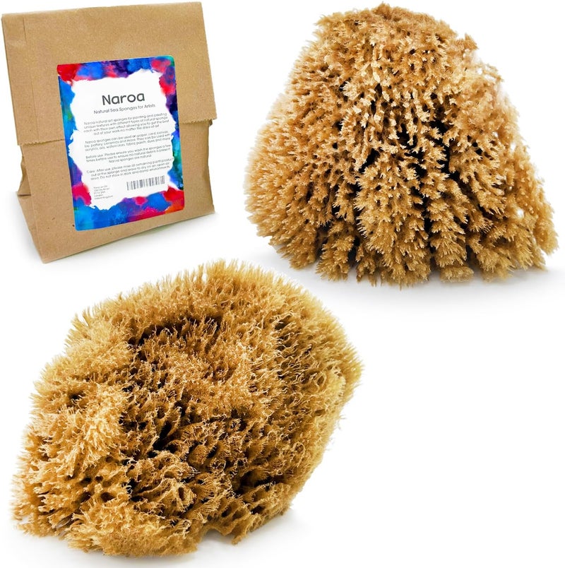 Naroa Natural Artist Sea Sponges for Painting 2 Pack | Large Art Tools for Decorating, Marbling, Sponging, Texturing and Crafts | Great for Artists & Children - Image 1
